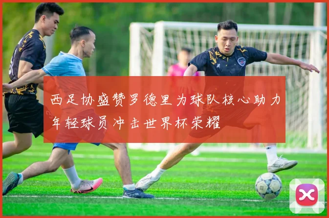 西足协盛赞罗德里为球队核心助力年轻球员冲击世界杯荣耀